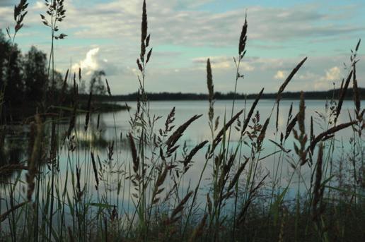 Vapaa-ajanpalvelut JUNIORIPESÄPALLOA Karvian urheilukentällä keskiviikkona 15.6.2019 klo 13. Ohjelmassa sähäkkä ottelu Kankaanpää-Ylihärmä.