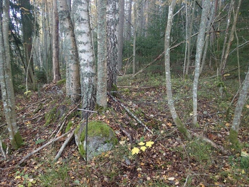 12 Rakennuksenperustus Brejlinintien kaakkoispuolella. Etualalla kaksi seinälinjaa ja nurkka. Rakennuksenperustus Brejlinintien kaakkoispuolella. Kaksi seinälinjaa, etualalla nurkka ja mahdollinen tulisijan perustus.