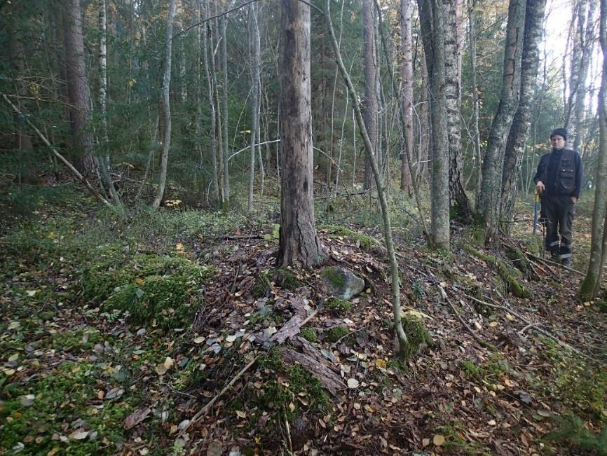 Millään tarkastetulla kartalla ei esiinny tutkimusalueelle selkeästi paikannettavissa olevia rakennuksia tai rakennuksiin viittaavaa.