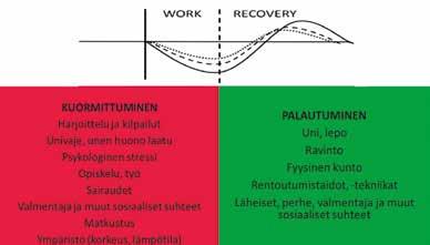Harjoittelumäärä tuleekin olla yksilöllinen riippuen harjoittelutaustasta, tavoitteista ja ajankäyttömahdollisuudesta.