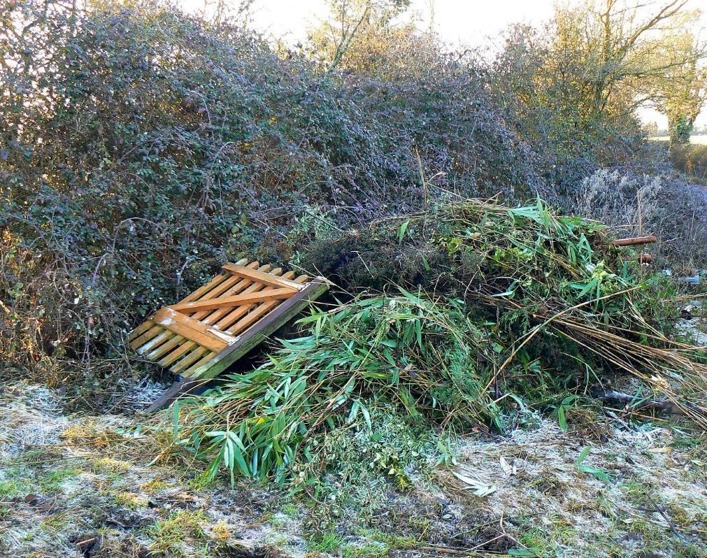 Puutarhan kasvinjätteiden ja maa-aineksen paikka ei ole joutomaalla, metsässä