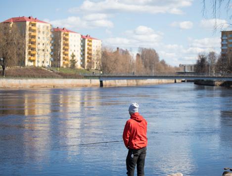 OULUN KAUPUNGIN MUUTTOTUTKIMUS 39 Millainen mielikuva sinulla oli entisestä asuinympäristöstäsi, josta muutit pois/jossa asuit ennen muuttoa?