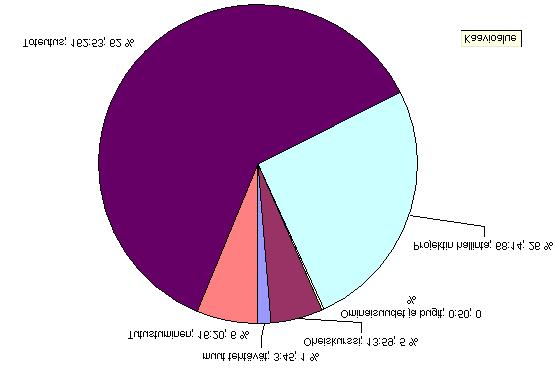 Kettu-projekti Projektiraportti 0.3 Julkinen 7.4 Henri Koskenrannan työtunnit tehtäväkokonaisuuksittain Kuvassa 7.