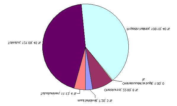 Julkinen Projektiraportti 0.3 Kettu-projekti Kuva 7.