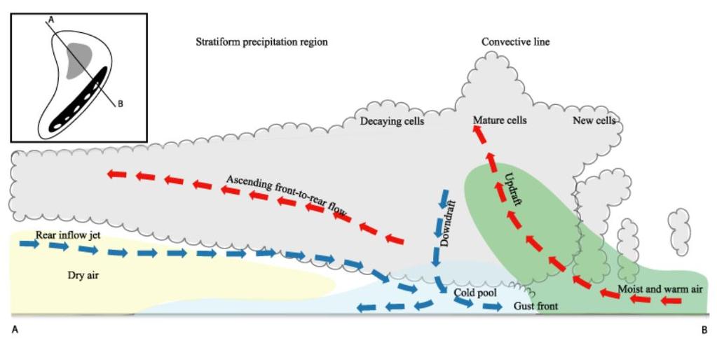 Ukkospilvijärjestelmissä maanpinnalla leviävä, laskuvirtauksista peräisin oleva viileä ilma aiheuttaa etureunassaan uusien konvektiosolujen syntymisen Tällä tavoin ukkospilvijärjestelmät kykenevät