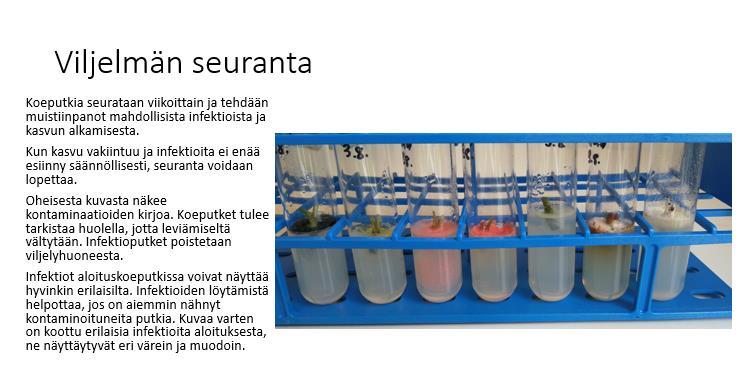 Koeputket, jotka ovat saastuneet, tulee pitää suljettuina ja niitä ei saa tyhjentää. Koeputket autoklavoidaan sisältöineen, jotta autoklaavaus tappaisi infektiot.