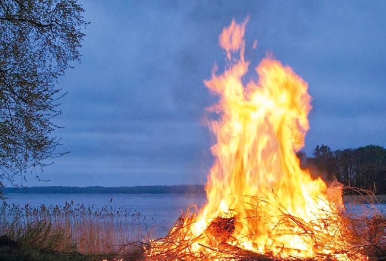 4 kg KYLMÄSAVULOHIFILEE, SIIVU n.