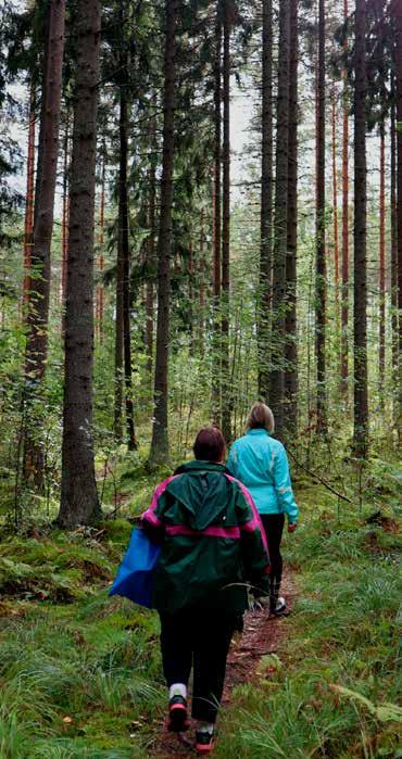 com Tervehdys Valasrannalta Näin on taas talvi taittumassa kevääseen, oli ihan mukavat talvikelit, luntakin oli riittävästi ja pakkastakin välillä vähän liiaksi astikin.