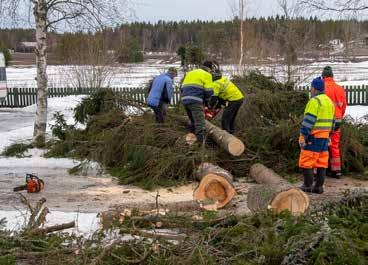 Tämä puuhomma on yksi hyvä kunnon hoitamisen muoto.