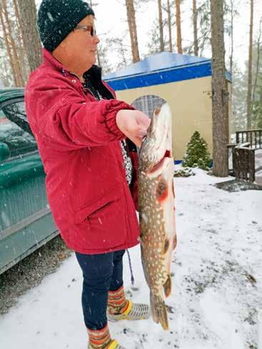 Arja ja Lasse Suomi ulkoilemassa Raitsussa. Viime kesänä valmistuivat kuntoportaat, portaita on 76 kpl ja suunnitteilla on lisätä niitä.