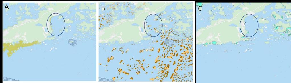 Kuva 12-1. Natura 2000 -vedenalaisten luontotyyppien mahdollisia esiintymisalueita Velmu karttapalvelun mukaan. A: Vedenalaiset hiekkasärkät (1110). B: Riutat (1170). C: Rannikon laguunit (1150).