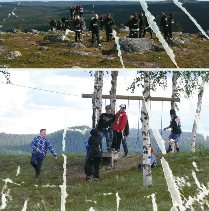 KAIKISSA ILMANSUUNNISSA. MATKALLA TARKASTELEMME ERI KASVILLISUUSVYÖHYKKEITÄ JA TUNTURIKASVILLISUUTTA.