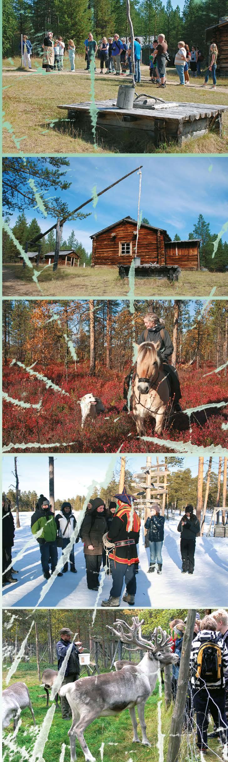 'KESTO: 2 TUNTIA llnja-autolla: 20KM SIPERIA lapponica - REKIKOIRIA JA VUONOHEVOSIA SUSIEN ULVONTAA, PONIEN KAVIOIDEN KOPSETTA, TALVIRAKKAUTTA JA METSÄÄ.