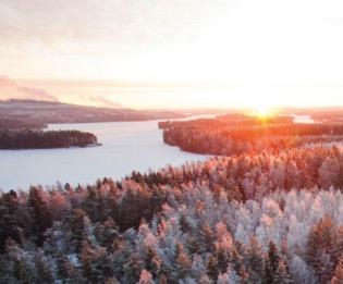 yhdistämällä eri maiden tietotaitoa MetsaWood.