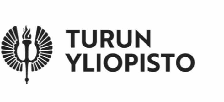 TIIVISTELMÄ x Kandidaatintutkielma Pro gradu -tutkielma Lisensiaatintutkielma Väitöskirja Oppiaine Johtaminen ja organisointi Päivämäärä 27.5.