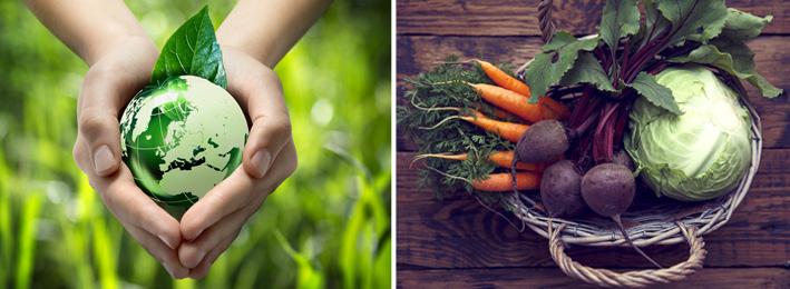 Lammas- ja vuohitalouden ohjelmistot Viranomaisten rekisterija asiakaspalvelut