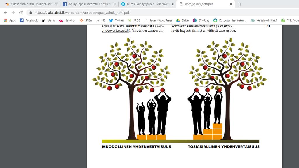 Yhdenvertaisuuspolitiikan tasot 1. Ihmisarvo = yhdenvertaisuus lain edessä= muodollinen yhdenvertaisuus 2.