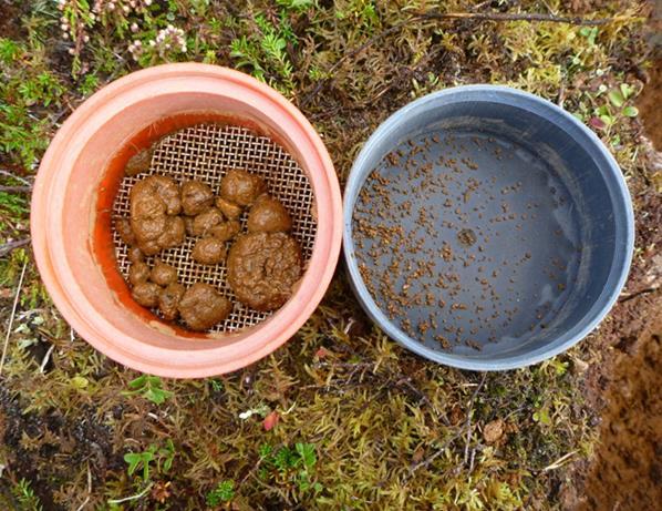 GEOLOGIAN TUTKIMUSKESKUS Hulkki ja Taivalkoski 72/2018 10 kosteudesta (paikoin lähes vesikyllästetty). Kainuussa oli satanut testausta edeltävällä viikolla yli kuukauden sademäärä! Kuva 6.