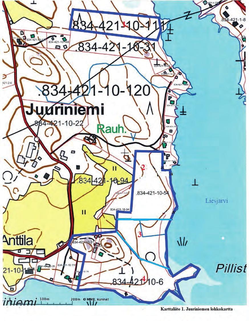 Suomen Luontotieto Oy TAMMELAN LIESJÄRVEN JUURINIEMEN JA PIRTTINIEMEN