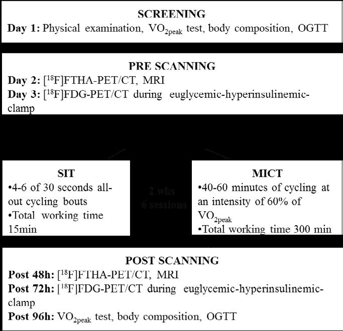 48 Materials and methods To assess the level of physical fitness, subjects performed a VO2peak test on a bicycle ergometer under guidance of an exercise physiologist on the day of screening or the