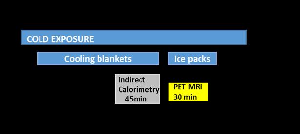 2019 (II). 4.2.3 Cold Exposure (II) Personalized cold exposure was started 2 hrs before the PET scan using a cooling blanket (Blanketrol III, Cincinnati Sub-Zero, Cincinnati, OH, USA).