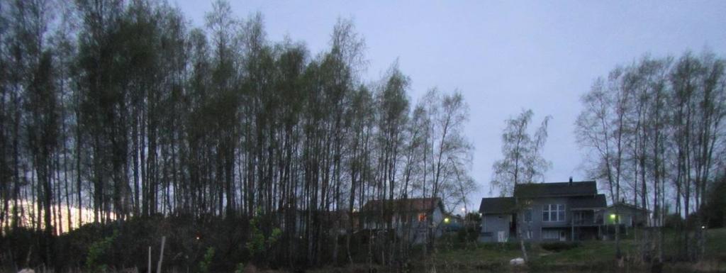 ruokovyöhykettä