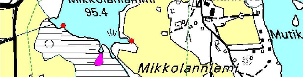 Mikkolanlammin koillis- ja pohjoisosassa kulkevalla Kämmenniemen kadulla havaittiin 8.5 yöllä kaksi auton yliajamaa kutematonta viitasammakkonaarasta ( ) (Kuva 1.
