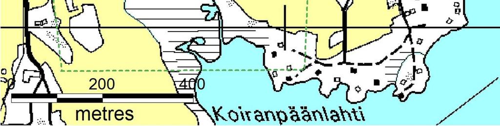 4. YHTEENVETO Viitasammakko elää ja lisääntyy Mikkolanlammilla sekä sen lähiympäristössä. Esiintymän runsautta ja laajuutta on vaikea arvioida kahden maastokäynnin perusteella.