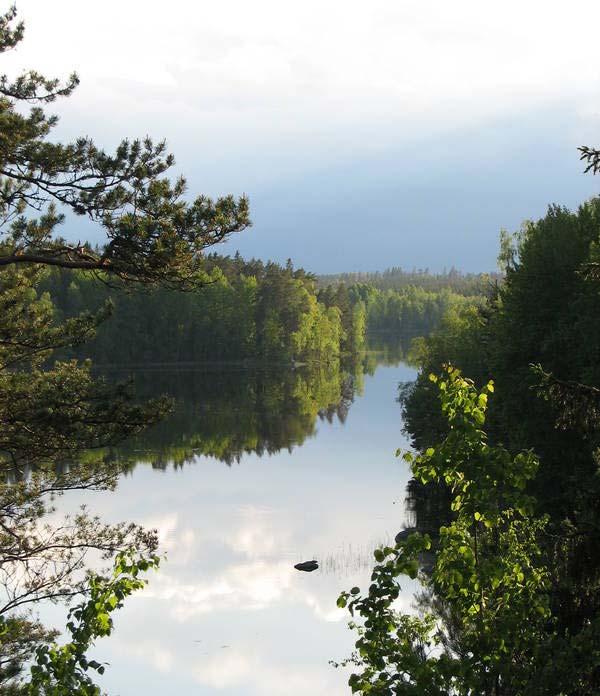 Pilottiryhmät kehittämisen tukena Miksi 4 luokkalaiset?