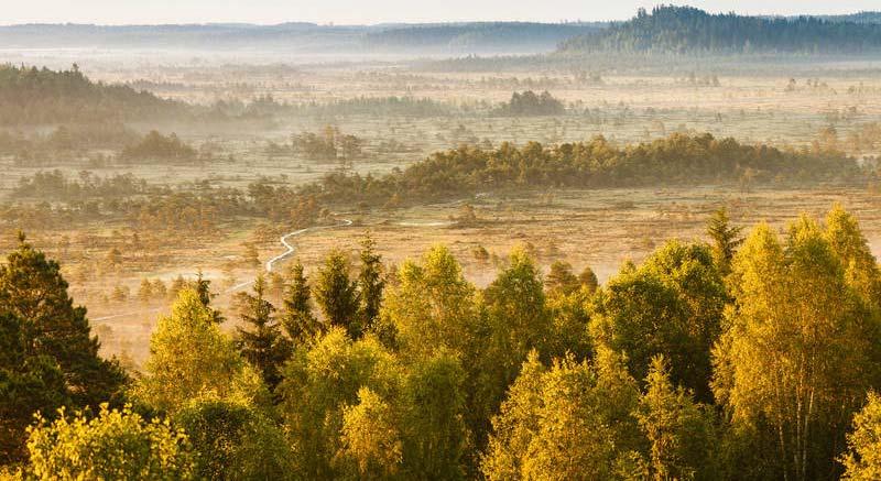 FORSSAN SEUTUKUNNAN MATKAILUN MASTERPLAN LUONTO JOKA LIIKUTTAA SINUA Metsähallituksen ja Eerikkilän strateginen tahtotila Kehittää toimintamalli lasten ja nuorten luonnossa liikkumisen aktivoimiseksi