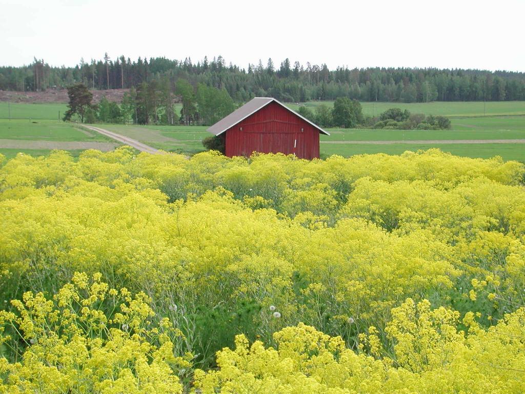 Kiitos!