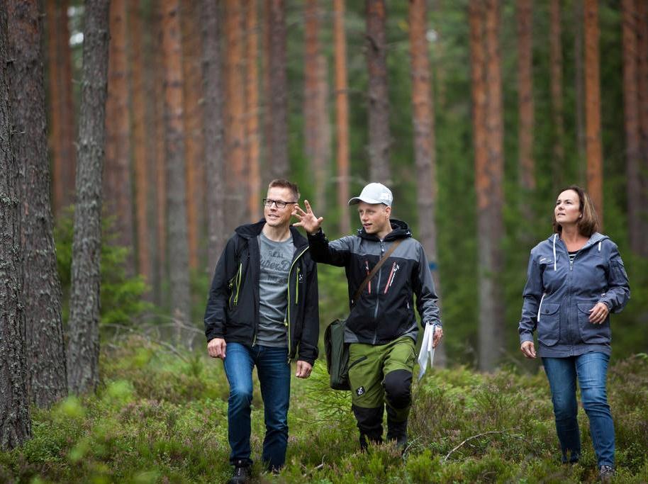 Metsät, puuviljelmät ja maankäyttö Huomioimme paikallisympäristön erityispiirteet Uusiutuvuus edellyttää vastuullista metsänhoitoa, joka pitää metsät terveinä ja tuottavina.