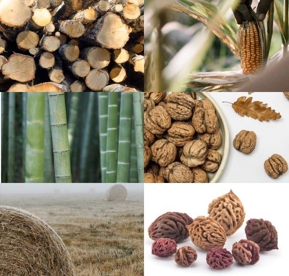 Stora Enso hyvissä asemissa kohti tulevaisuutta BIOHAJOAVUUS JA