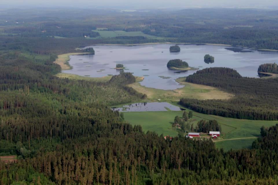 Kosteikkoja monelta kantilta Esityksen