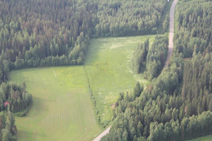 Vitikankorpi, Hämeenlinna Pato
