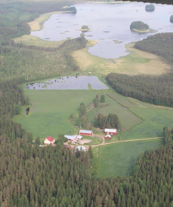 a Mikä on kosteikko?