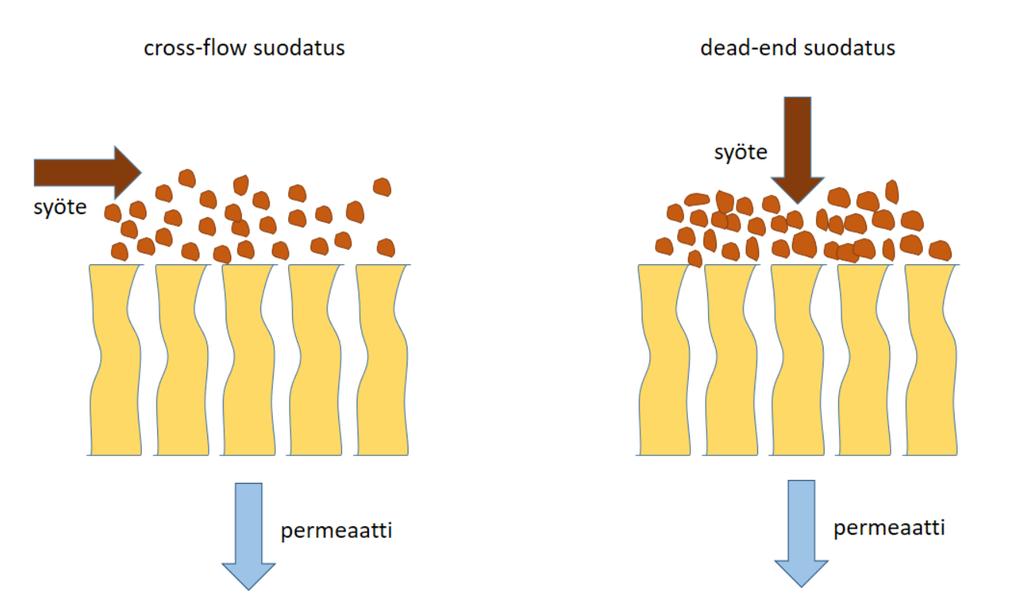 27 kalvon pinnan suuntaisesti ja permeaatti imetään suoraan kalvon läpi. Dead-end suodatuksessa syöte pumpataan kohtisuoraan kalvoa kohti. Molemmilla suodatustavoilla on omat etunsa ja haittansa.