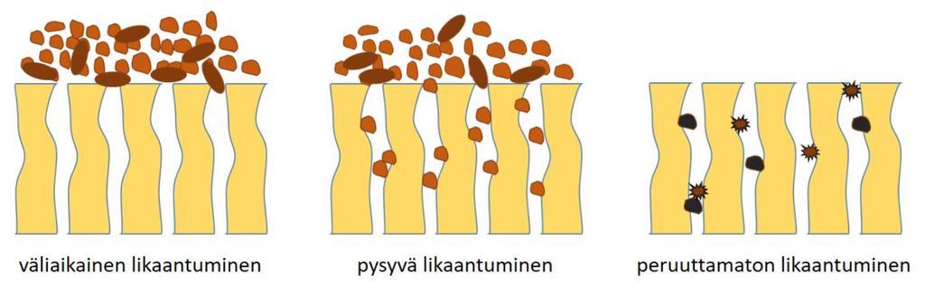 ettei sitä voida poistaa puhdistusmenetelmillä. (Bodai 2018; Krzeminski 2013; Lignell et al. 2015) 79 Kuva 26.