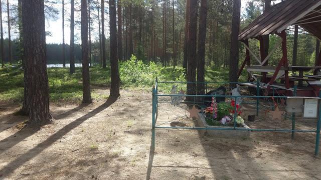 Tien Suomen puolella oli koko matkan ajan reilut kaksi metriä korkea piikkilanka-aita, jossa on pienjännitteinen ilmaisulanka.
