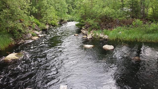Matkan edetessä suoalueilla olevien monttujen ja ylitettävien purojen määrä, vaikeusaste ja syvyys kasvoivat. Jouduimme miettimään, miten pääsemme lätäköiden yli.