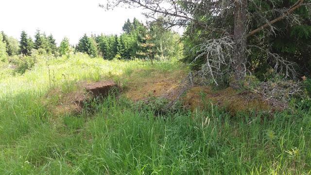 Kokkarin tsasounan kivijalka ja rappuset Kokkarin tsasouna (Rukoushuone) kevättalvella 1940 (SA-kuva). Korpiselän tie oli tsasounan vasemmalla puolella.