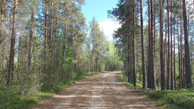 kylään, jossa oli tarkoitus etsiä kansakoulun jäänteet ja sen takana