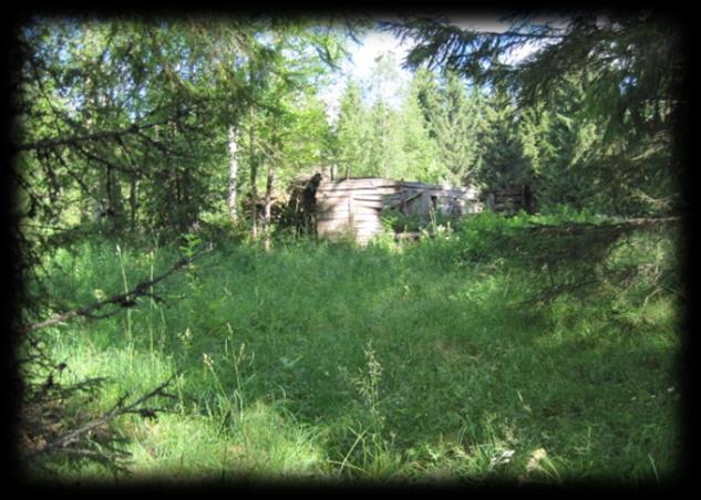 Ilomantsilaiset tarinankertojat Ensio Kettunen Tapasin lapsuudessa ja nuoruudessa useita ilomantsilaisia tarinankertojia eri tilaisuuksissa ja myös kahden kesken.