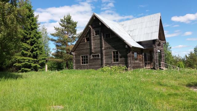 Osuuskaupan risteykseen saavuttuani lähdin kävelemään Tolvajärven rantaan menevää tietä. Poikkesin tieltä Tolvajärvelle luvatta rakennetun kesämökin kohdalta oikealle, jossa oli kylävaaran peltoaukea.