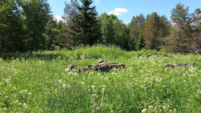 Tolvajärven kansakoulun nuorempi rakennus valmistui syksyllä 1939, heti matkailumajan valmistumisen jälkeen, vanhempi koulu oli rakennettu vapaussodan jälkeen.