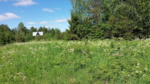 Kansakoulun rauniot oikealla näkyvän metsän keskellä. Kenttähautausmaa sijaitsi koulun raunioiden oikealta puolelta.