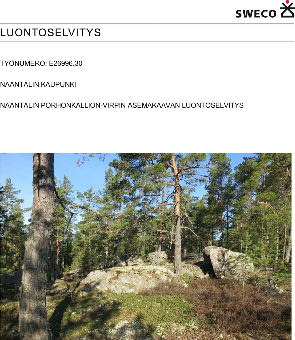 LUONTOSELVITYS TYÖNUMERO: E26996.