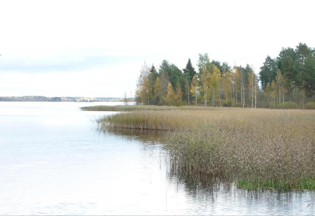 Pertti Manninen Etelä-Savon ELY- keskus Vesienhoito