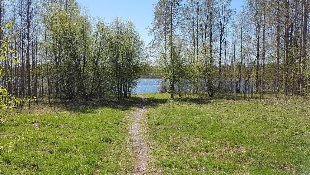 4 1. JOHDANTO 1.1 Hankkeen taustaa Joensuussa laaditaan osayleiskaavan päivitystä Rantakylä-Utra alueelle, johon liittyen tehtiin selvitys Puronsuun alueella kaavaillulle uimaranta-alueelle.