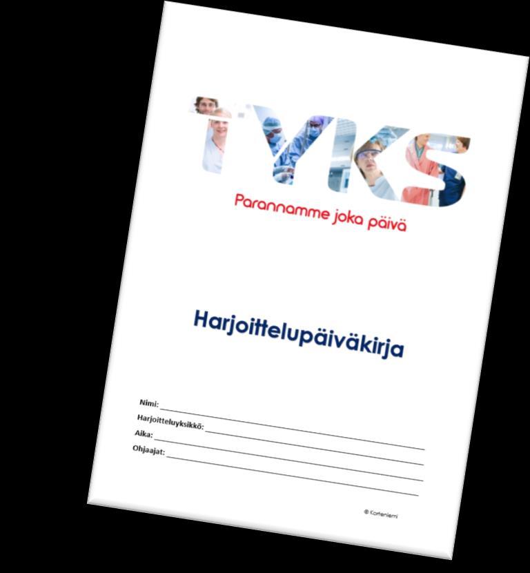 HARJOITTELUPÄIVÄKIRJA Lähtökohtana reissuvihko Kehittämisen teemoja: Yksilöllinen